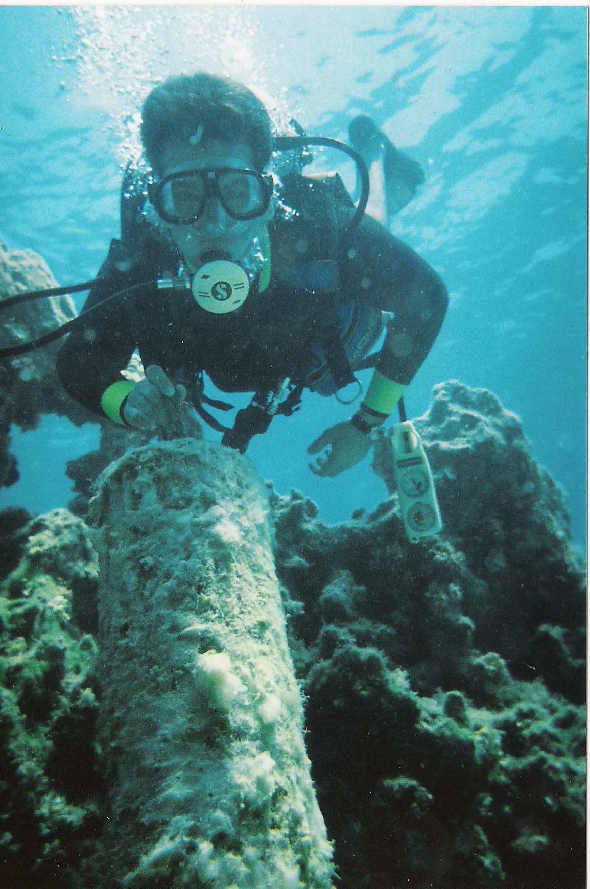 Koursaros image 24